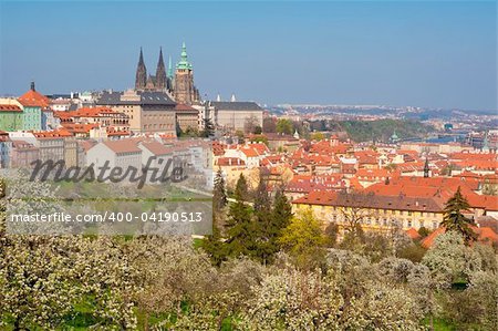 prague - view of hradcany castle and st. vitus cathedral in spring