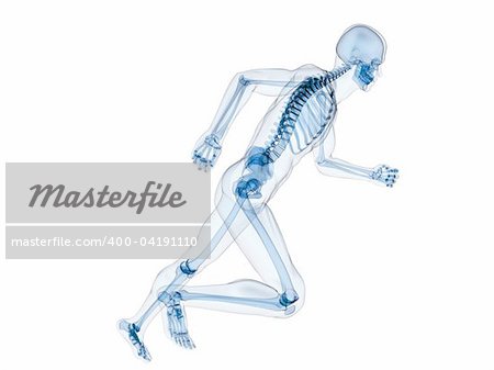 3d rendered illustration of a running human skeleton