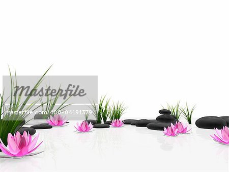 3d rendered illustration of lotus flowers, grass and stones