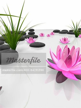 3d rendered illustration of lotus flowers, grass and stones