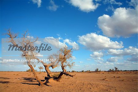 Desert landscape in Sahara, Morocco, Africa