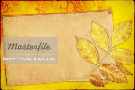 Grunge background with autumn leaves