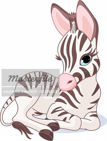 Illustration of a cute zebra foal