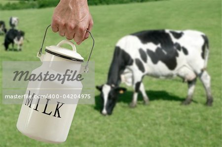 Milk pot urn on farmer hand with cow in meadow background