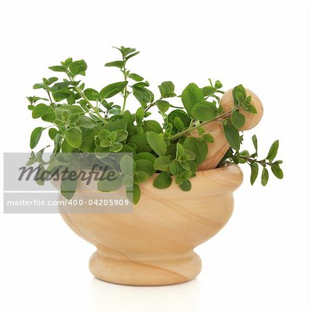 Oregano herb leaf sprigs in a marble mortar with pestle, isolated over white background. Origanum.