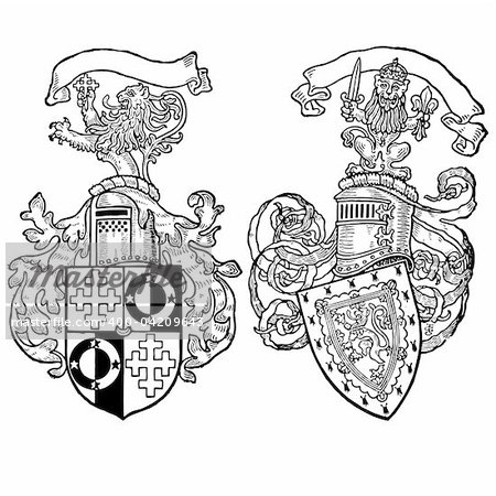 Detailed lion crests. Easy to edit colors.
