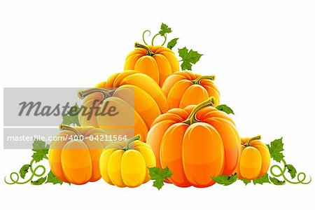 hill harvest of orange ripe pumpkins vector illustration, isolated on white background