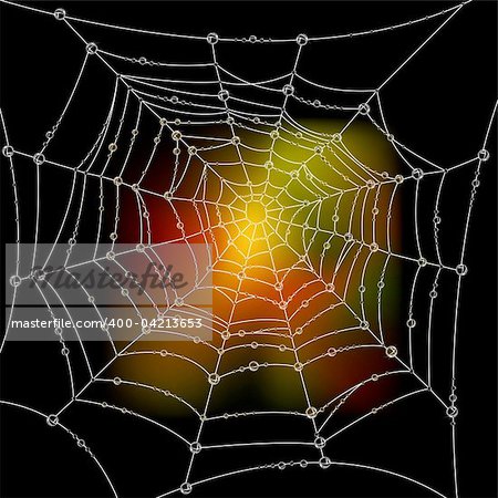 Autumn background with a spider's web