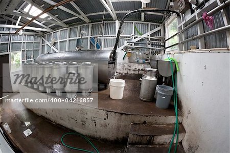 Rustic dairy operation in Costa Rica near Monteverde