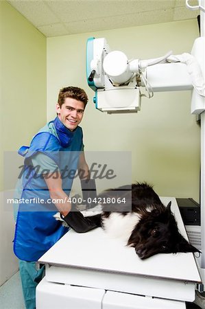A dog receiving an x-ray at a veterinary clinic