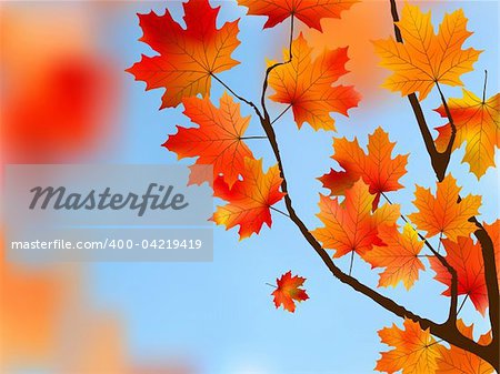 Red maple Tree Leaves against blue sky. EPS 8 vector file included