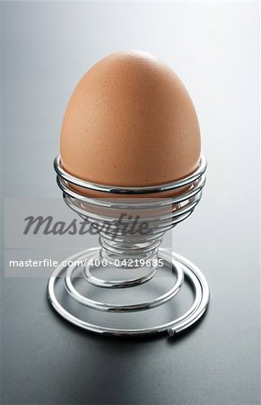 Egg placed in a metal spiral egg-holder on gray gradient background