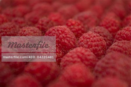 raspberry laid diagonally. picture with a small depth of field