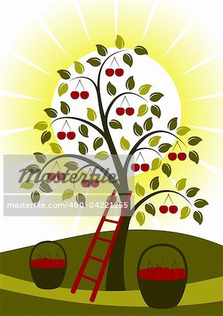 vector cherry tree, ladder, baskets of cherries and sun, Adobe Illustrator 8 format