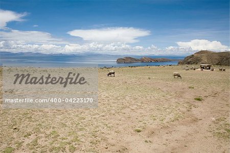 Situated on the Bolivian side of the lake with regular boat links to the Bolivian town of Copacabana, Isla del Sol ("Island of the sun") is one of the lake's largest islands.