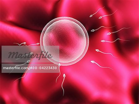abstract 3d illustration of human sperm and egg cells over soft pink background