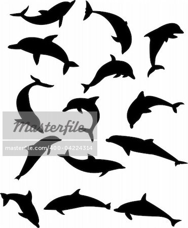 dolphins silhouette collection vector