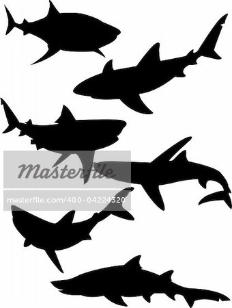 sharks silhouette collection vector