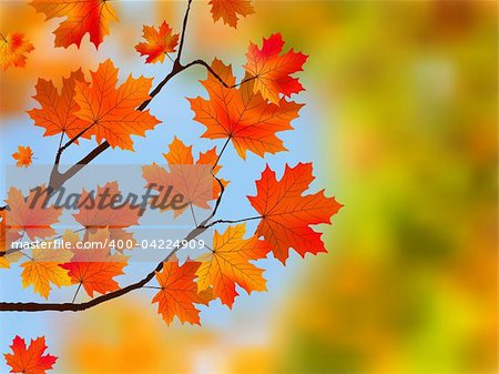 Red maple tree leaves against blue sky. EPS 8 vector file included