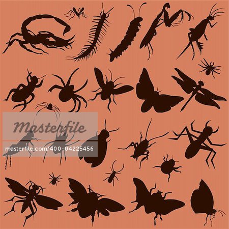 vector set of various bugs