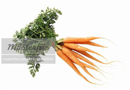 Frische Karotten isoliert auf weißem Hintergrund