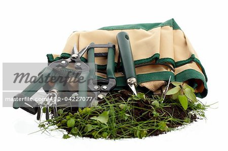 Set of garden tools and the holding bag