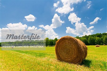 Hay bales in a green field with cloudy skies