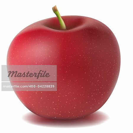 illustration of isolated realistic vector apple