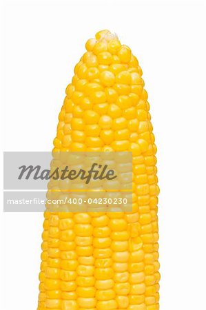 Corn cobs isolated on the white background