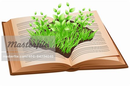 illustration of grass on open book on white background