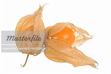 Delicious physalis in close-up isolated on white background