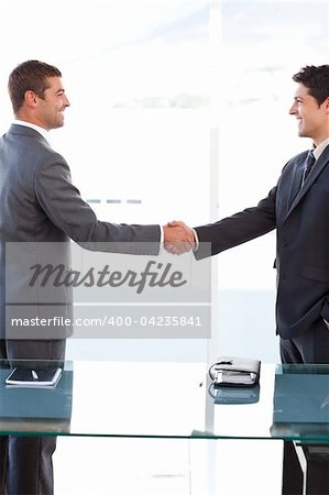 Cheerful businessmen closing a deal by shaking their hands at the office