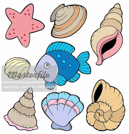 Various shells and fish collection - vector illustration.