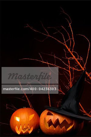 a two fresh halloween pumpkin on black