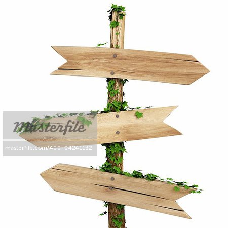 old wooden pointer overgrown with ivy. isolated on white background including clipping path