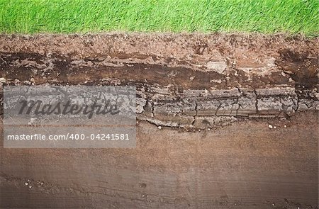 Cross section of green grass and underground soil layers beneath