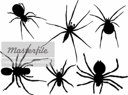 spiders silhouette collection vector