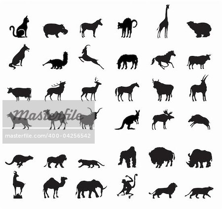 A vector illustration animals silhouettes.