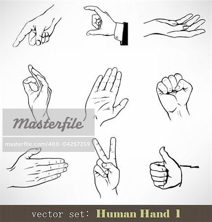 The Vector set: Human Hand 1