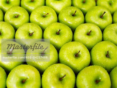 large group of green apples in a row. Horizontal shape
