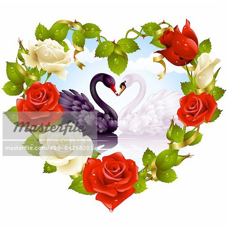 Red Rose frame in the shape of heart and couple swans