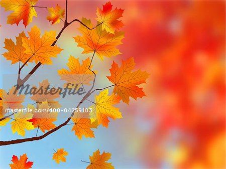 Bright leaves of autumn in tints of yellow, orange and red against the blue sky. Soft focus. EPS 8 vector file included