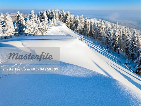 Sunrise and winter rime and snow covered fir trees on mountainside (Carpathian Mountains, Ukraine)