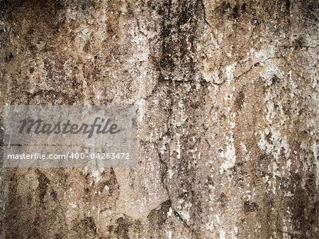 Abstract from the cracks of the cement plaster wall