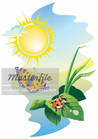 Sunrise landscape: flying butterfly and ladybug upon the leaves with water drops, vector illustration