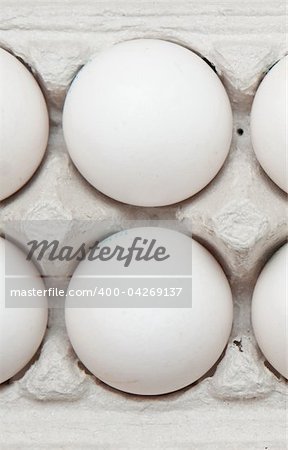 eggs