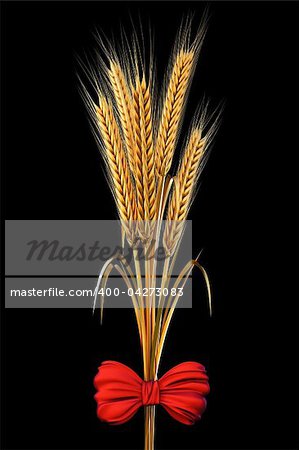 golden spikes of wheat tied with a red satin bow. with clipping path.