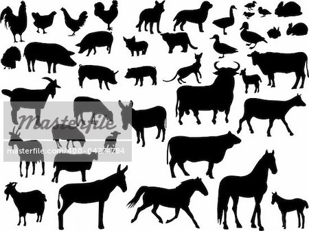 farm animals collection - vector