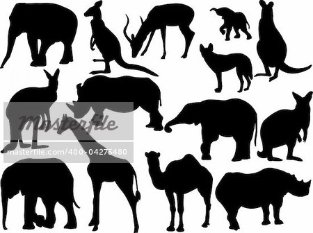 collection of wild animals - vector