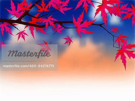 Autumnal leaves of maple. EPS 8 vector file included